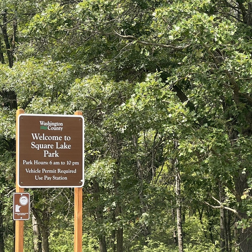 Are Dogs Allowed At Forest Lake Picnic Area