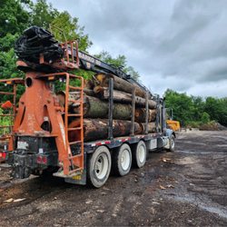 John's Tree Service & Landscaping