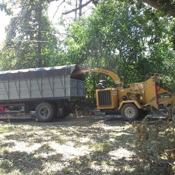 Golden Oak Tree Service Tree Services 3130 145th St W Rosemount Mn Phone Number