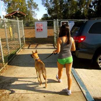 Barrington Dog Park - Dog Parks Near Me - Los Angeles, California Barrington Dog Park - Dog Parks Near Me - Los Angeles, California