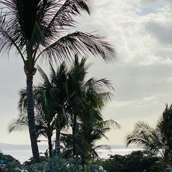 Monkeypod Kitchen by Merriman - Distant water view - New American Near Me - Kihei, Hawaii Monkeypod Kitchen by Merriman - Distant water view - New American Near Me - Kihei, Hawaii