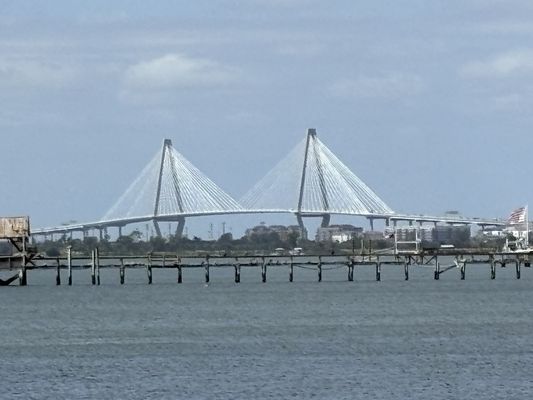 Pitt Street Bridge by null