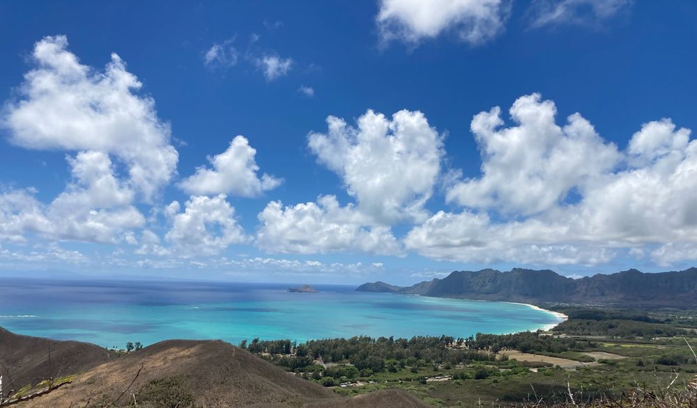 Thrive Psychology - grief counselor in Honolulu, HI