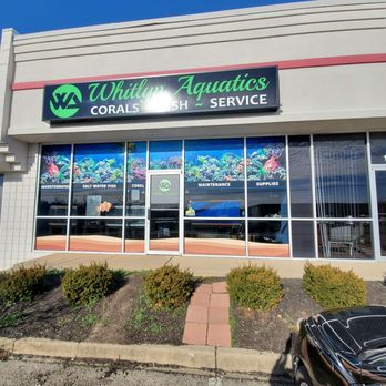 Derby City Aquatics - Whitlyn Aquatics - Aquariums Near Me - Mount Washington , Kentucky