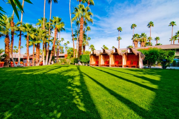 Caliente Tropics Resort - Palm Springs, CA by null