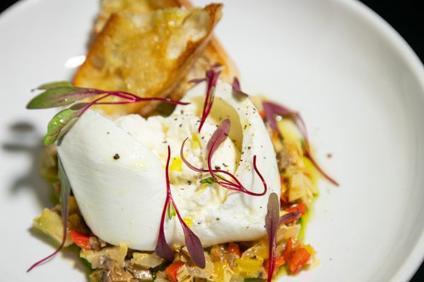 The Ivy Room by null