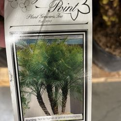 Costco Wholesale