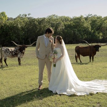 The Orchard At Spring Branch - Longhorns posing. I told you! - Wedding Chapels Near Me - Spring Branch, Texas