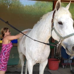 Metamorphosis - Janet volunteering horse massage for a local equine rescue ranch.