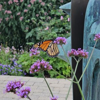 Niagara Parks Butterfly Conservatory - Zoos Near Me - Niagara Falls, Ontario Niagara Parks Butterfly Conservatory - Zoos Near Me - Niagara Falls, Ontario