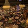 Dew Drop Inn