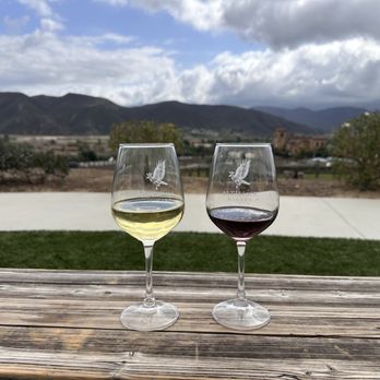 Altisima Winery - View out from Altisima winery - Wineries Near Me - Temecula, California