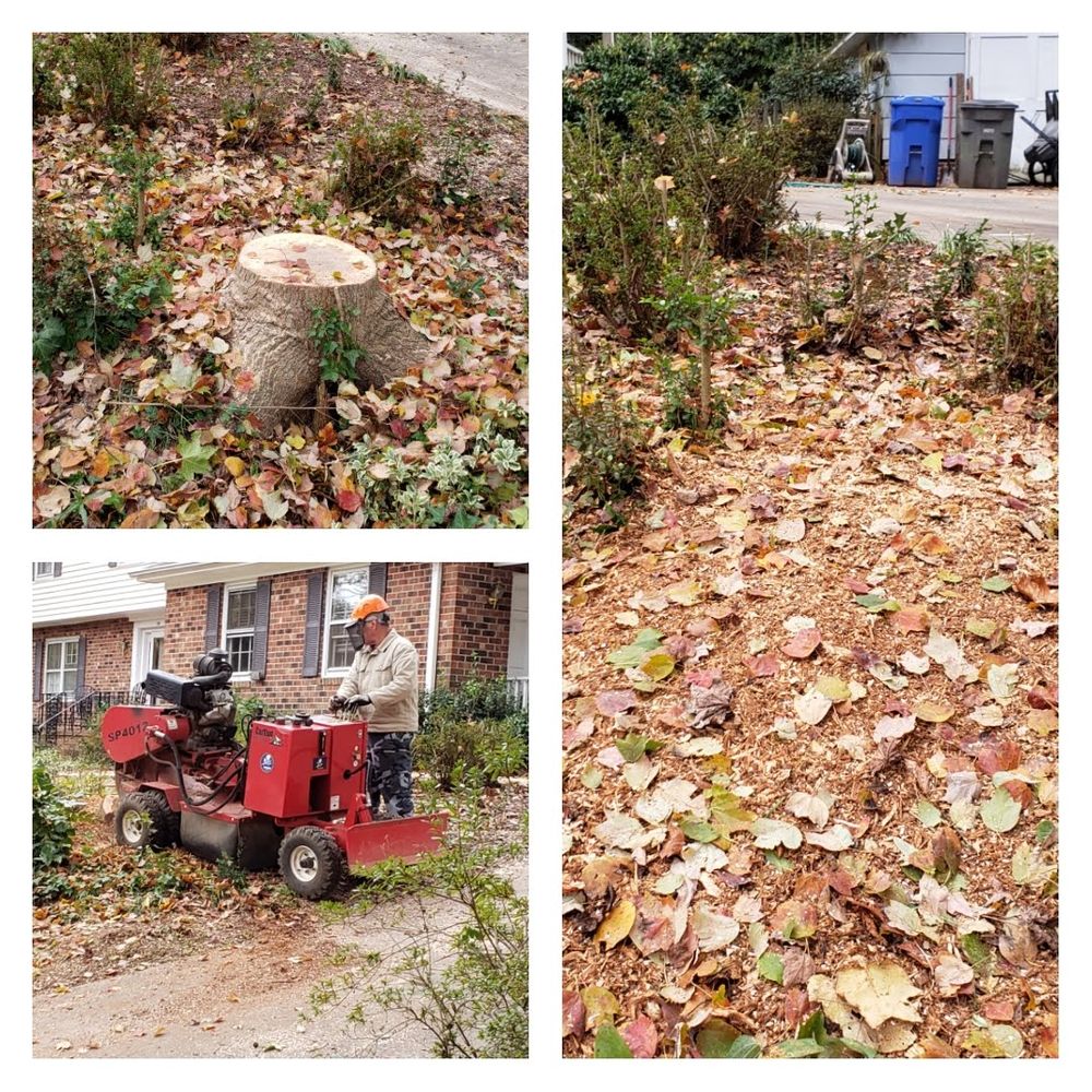 Precision Outdoor - tree service in Greenville, SC