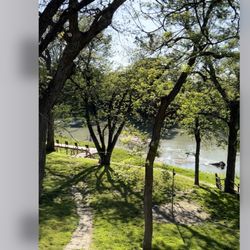The River Haven - Scenic view off back deck.