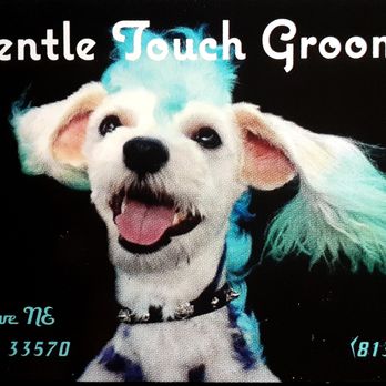 A Gentle Touch Grooming - Pet Groomers Near Me - Ruskin, Florida A Gentle Touch Grooming - Pet Groomers Near Me - Ruskin, Florida