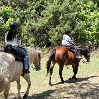 The Canyons Zip Line & Canopy Tours - Tours Near Me - Ocala, Florida