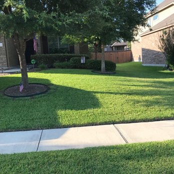 Mow Managers - a tree in the front yard - Lawn Services Near Me