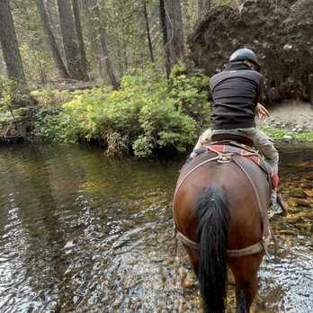 Yosemite Trails Horseback Adventures - Stream - Horseback Riding Near Me - Fish Camp, California Yosemite Trails Horseback Adventures - Stream - Horseback Riding Near Me - Fish Camp, California