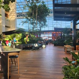 Lobby Lobby