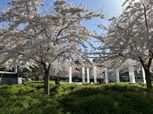 The University of British Columbia by null