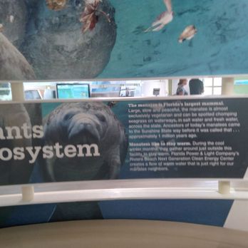 Manatee Lagoon - Aquariums Near Me - West Palm Beach, Florida Manatee Lagoon - Aquariums Near Me - West Palm Beach, Florida