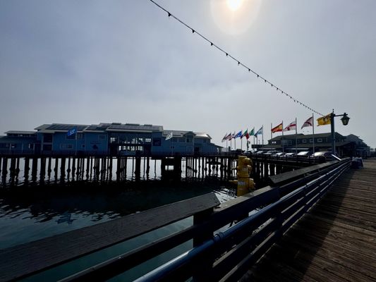 Santa Barbara Museum of Natural History Sea Center by null