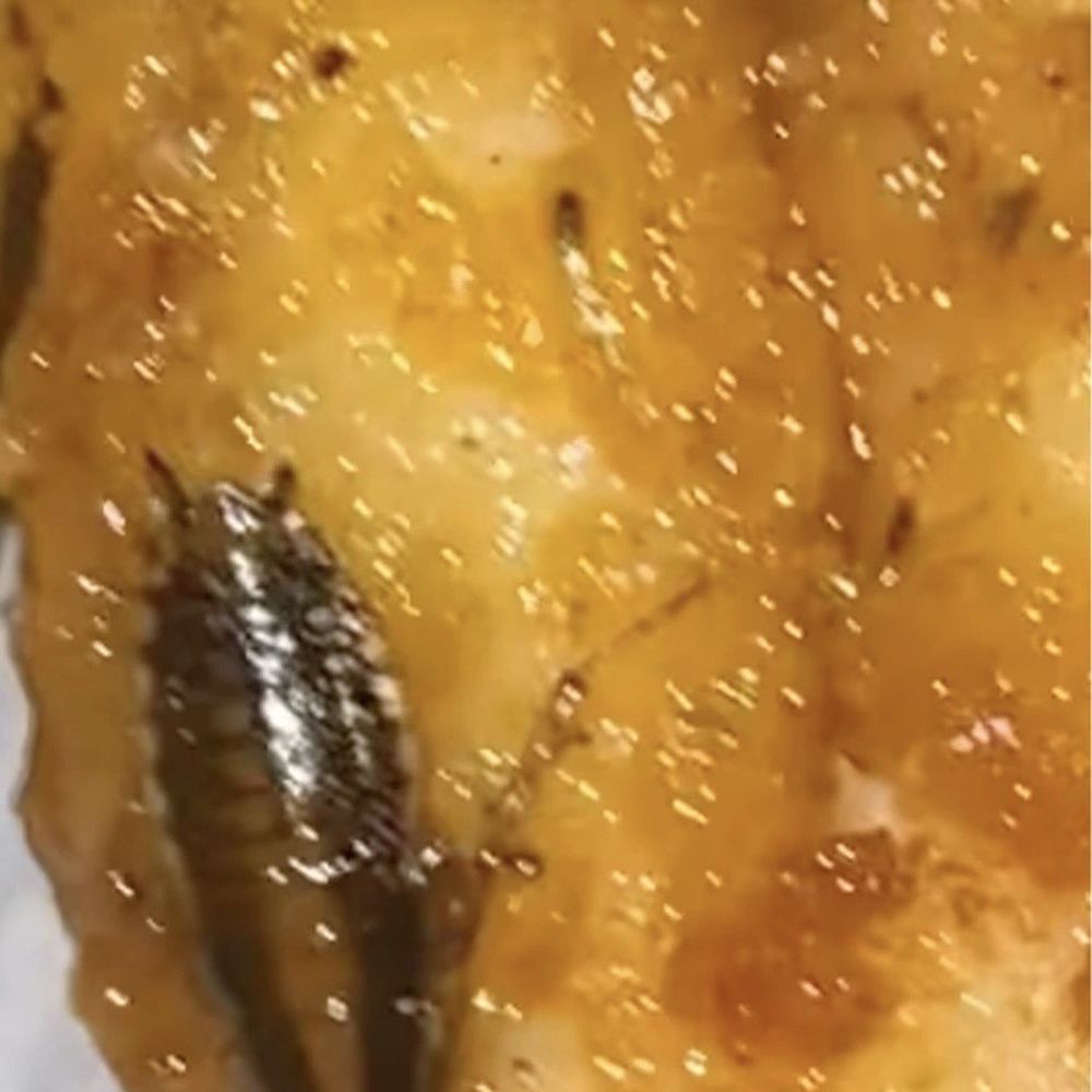 Cesar's Empanadas - Food Trucks Near Me - Brooklyn, New York Cesar's Empanadas - Food Trucks Near Me - Brooklyn, New York