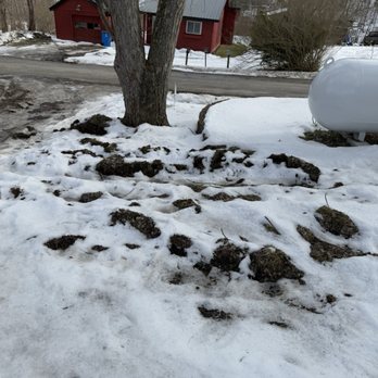 Affordable Dumpsters - Tore up yard - Dumpster Rental Near Me