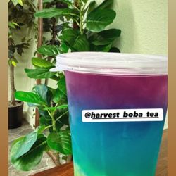 Harvest Fruit and Boba Tea - 32oz Electric lemonade with mango jelly and lychee popping boba