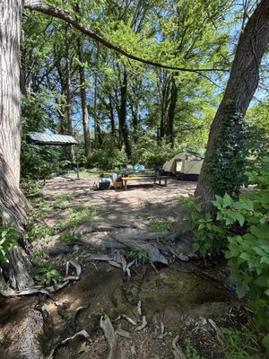 Krause Springs by null