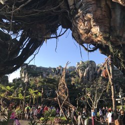 Avatar Flight of Passage