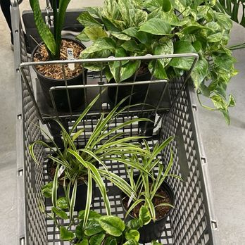 Gardin - Hydroponics Near Me - Braintree, Massachusetts