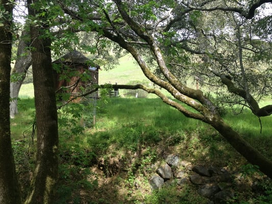 Spirit Rock Meditation Center by null