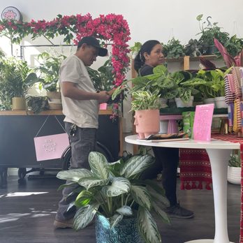 La Chula Cafe - Guatemalan coffee & plant cafe - Coffee & Tea Near Me - Pasadena, California La Chula Cafe - Guatemalan coffee & plant cafe - Coffee & Tea Near Me - Pasadena, California