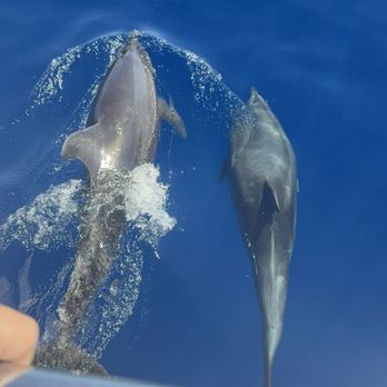 Holoholo Charters - Boating Near Me - Eleele, Hawaii