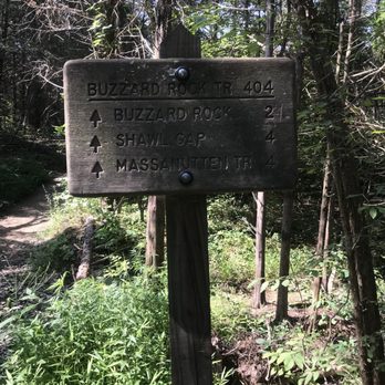 Buzzard Rock North Trail - Hiking Near Me - Front Royal, Virginia