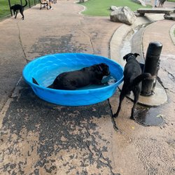 Patterson Dog Park