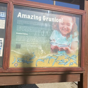 San Clemente State Beach - Grunion running - Beaches Near Me - San Clemente, California