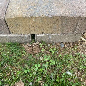 Azteca Home Services - a close up of a block of concrete - Pest Control Near Me - Anthem, Arizona Azteca Home Services - a close up of a block of concrete - Pest Control Near Me - Anthem, Arizona
