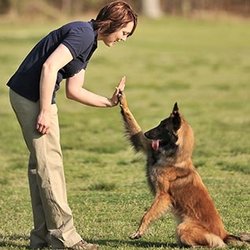 Nature's Nanny Pet Service