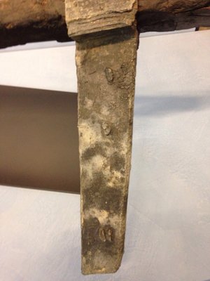 Museum of ancient Arles and Provence by null