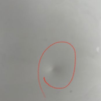 Rising Star Collision - This is a close up of the tiny dent that they fixed perfectly like new - Body Shops Near Me - Chino, California Rising Star Collision - This is a close up of the tiny dent that they fixed perfectly like new - Body Shops Near Me - Chino, California