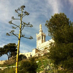 Le Jardin du Bois Sacré