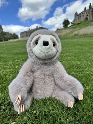 Cornell University by null