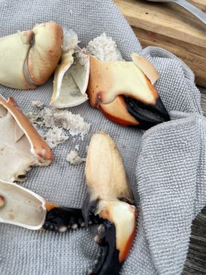 George Stone Crab by null