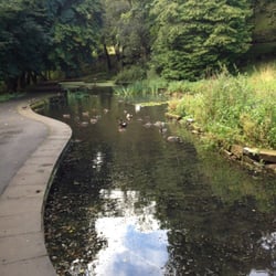 Queen's Park - Duck pond