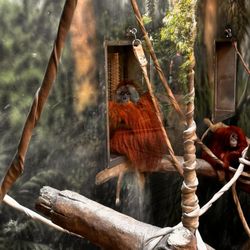 user provided Fort Wayne Zoo photo