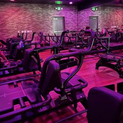 Club Body