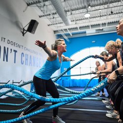Burn Boot Camp - Williamsville