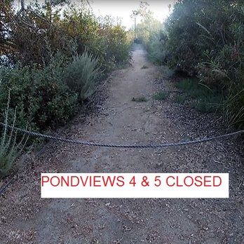 San Joaquin Marsh Wildlife Sanctuary - A few Observation Areas are closed. - Parks Near Me - Irvine, California San Joaquin Marsh Wildlife Sanctuary - A few Observation Areas are closed. - Parks Near Me - Irvine, California